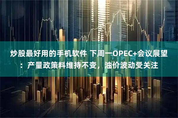炒股最好用的手机软件 下周一OPEC+会议展望：产量政策料维持不变，油价波动受关注
