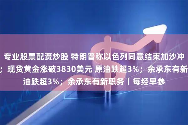 专业股票配资炒股 特朗普称以色列同意结束加沙冲突“20点计划”；现货黄金涨破3830美元 原油跌超3%；余承东有新职务丨每经早参