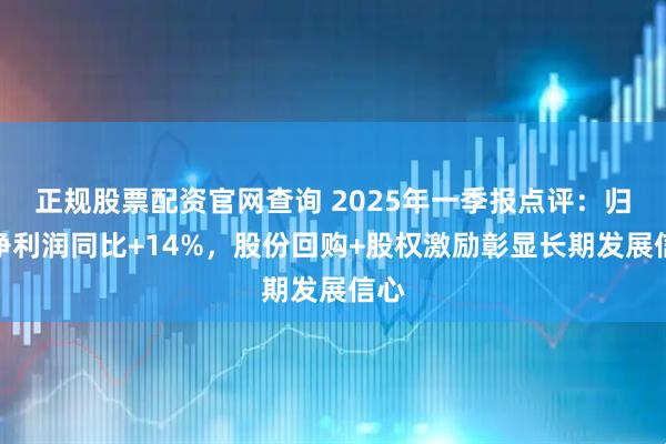 正规股票配资官网查询 2025年一季报点评：归母净利润同比+14%，股份回购+股权激励彰显长期发展信心